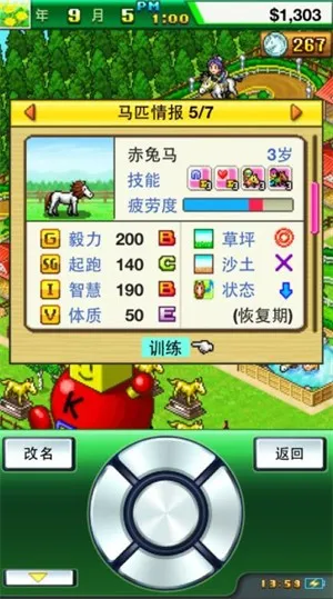 顶级跑马牧场999血统(马场经营养马) 顶级跑马牧场999血统(马场经营养马)