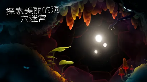 shine֮(Ӱ)v1.41 ֻͼ