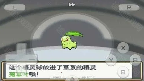 口袋妖怪心金魂银(宝可梦冒险游戏) 口袋妖怪心金魂银(宝可梦冒险游戏)