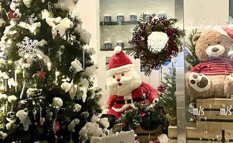 水星壁纸(壁纸美化软件) 水星壁纸(壁纸美化软件)