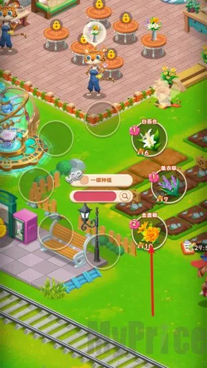 动物花店安卓版手机版 动物花店安卓版手机版