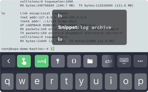 Termius2025���°汾