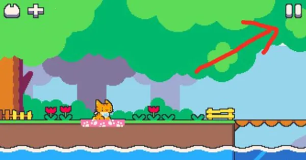 ����è�ֵ�(è�ֵ�ð����Ϸ)