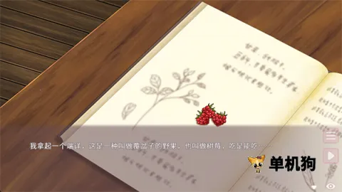 ������2025���°汾v0.9.2 �ٷ������ͼ