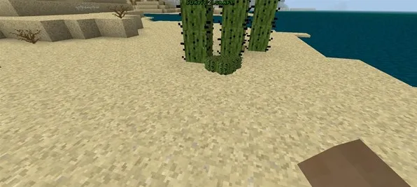 ����ս��ʮ������2025���ذ�װ