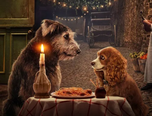 ����Ӱ��(Ӱ����Դƽ̨)