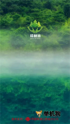 ����ͨ2025�ٷ�����