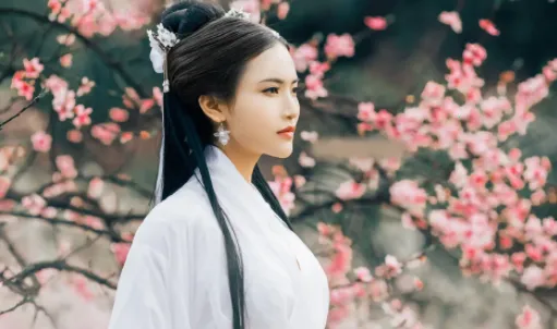 ��װ���(��װ��������)