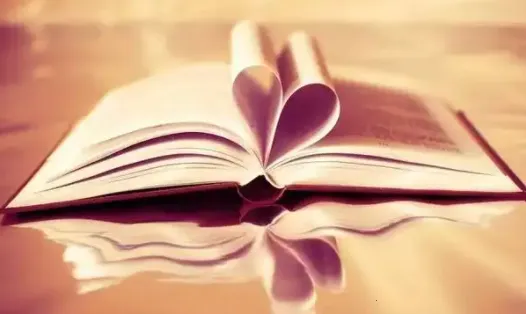 �����Ķ�2025�ٷ�����