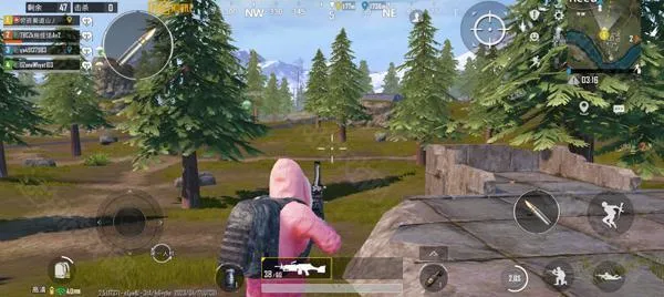 pubg���ν��(�Լ������Ϸ)