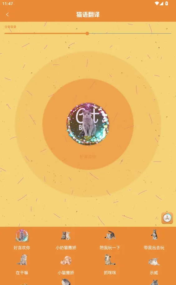 ����è��������(�˳����Է���)