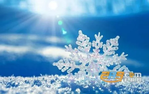 Holi����(������ѯ����)