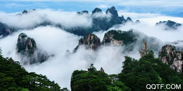 ��ɽ�ٷ�ƽ̨(��ɽ����App)