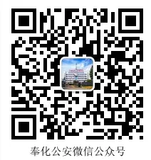 �����걨�����ֻ���