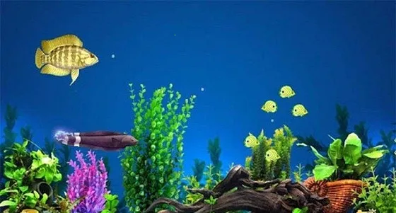 3d�����С��(�����С����Ϸ)v1.0.41 �ٷ������ͼ