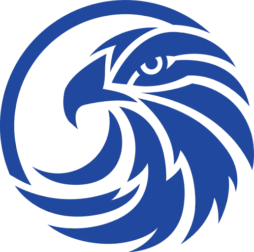 ��ӥ�ٿ�(�ֻ�׷������)v3.0.1 �ٷ�����