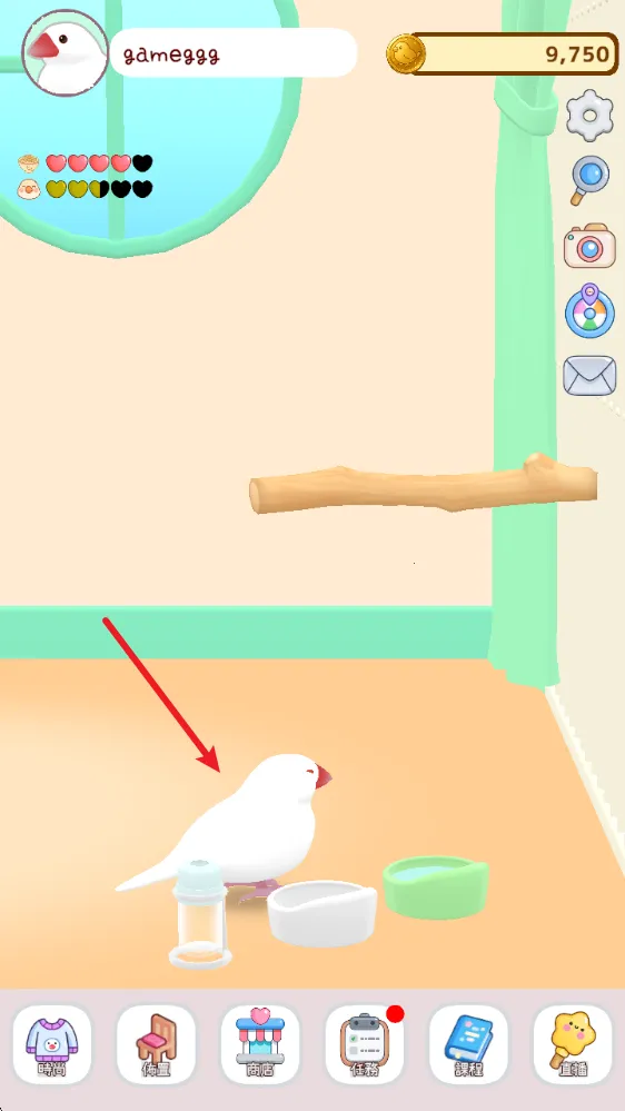 文鸟物语最新手机版 文鸟物语最新手机版