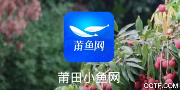 ����С����2025�ٷ�����