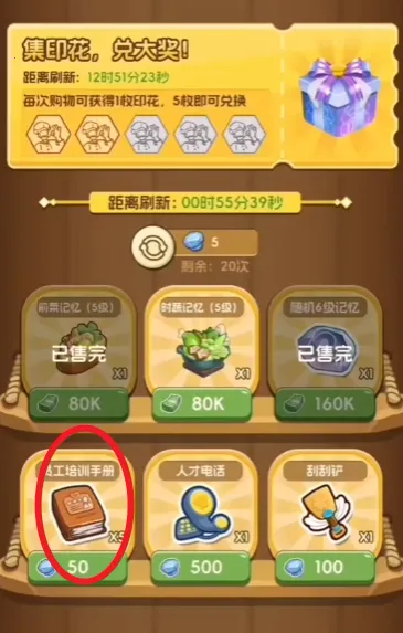 �����µ�˽��С��2025���ذ�װ