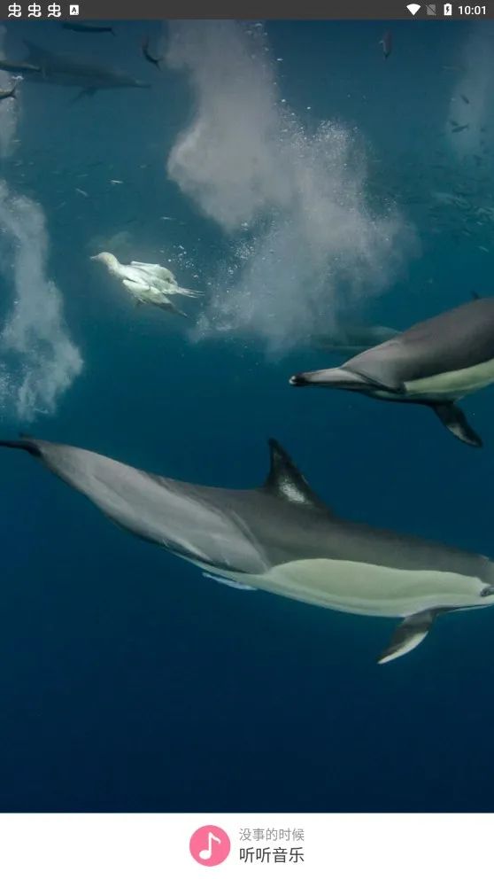 ��������(���ֲ�������)v1.1.0 �ֻ����ͼ