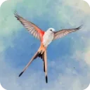 չ�᰿��(���࿨����Ϸ)v1.5.546 ��׿��