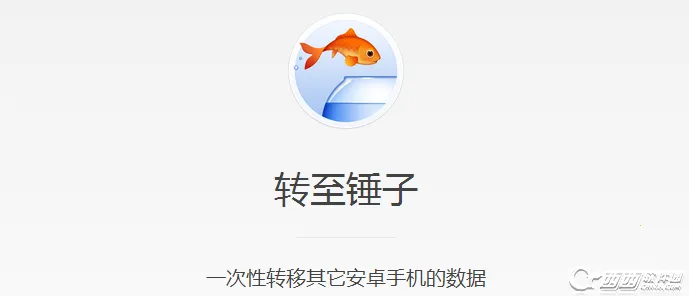 ת������