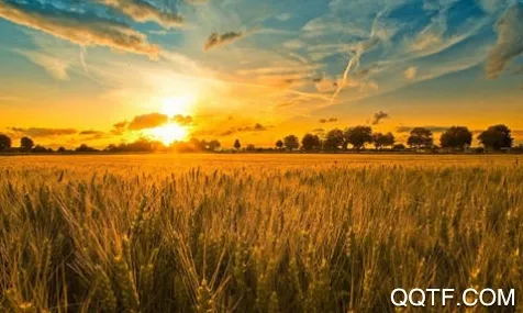 ���������׿���ֻ���