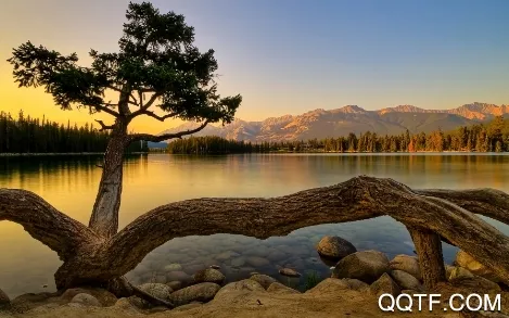 ���������׿���ֻ���