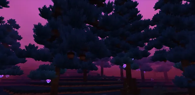 ��Ԩ�ĺ���