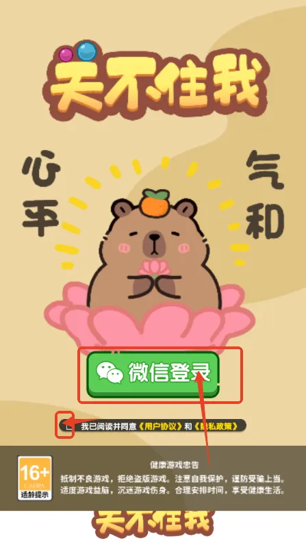 �ز�ס��2026���°汾