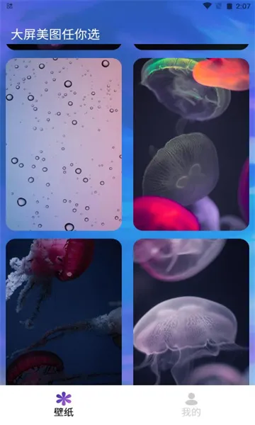 ����δ��v1.0.2.101 �ٷ������ͼ