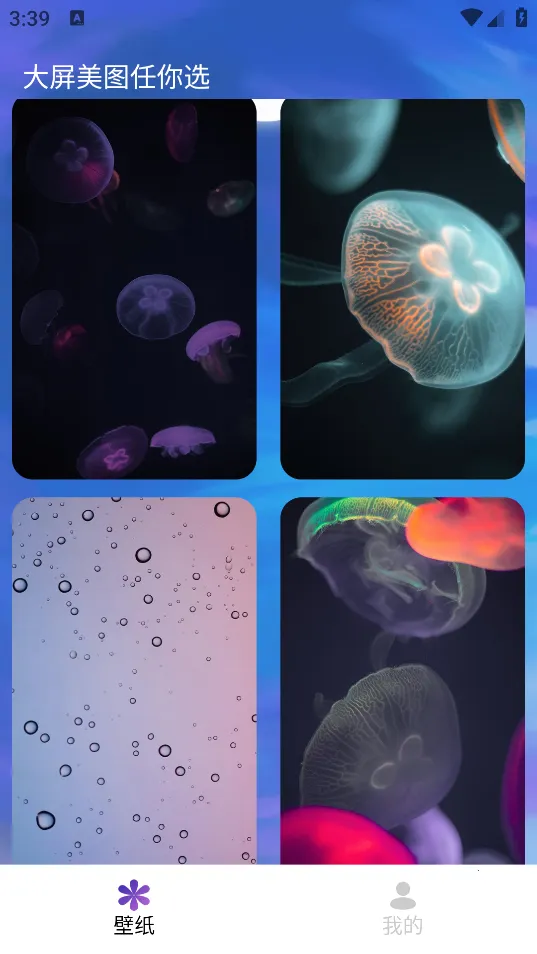 ����δ��v1.0.2.101 �ٷ������ͼ