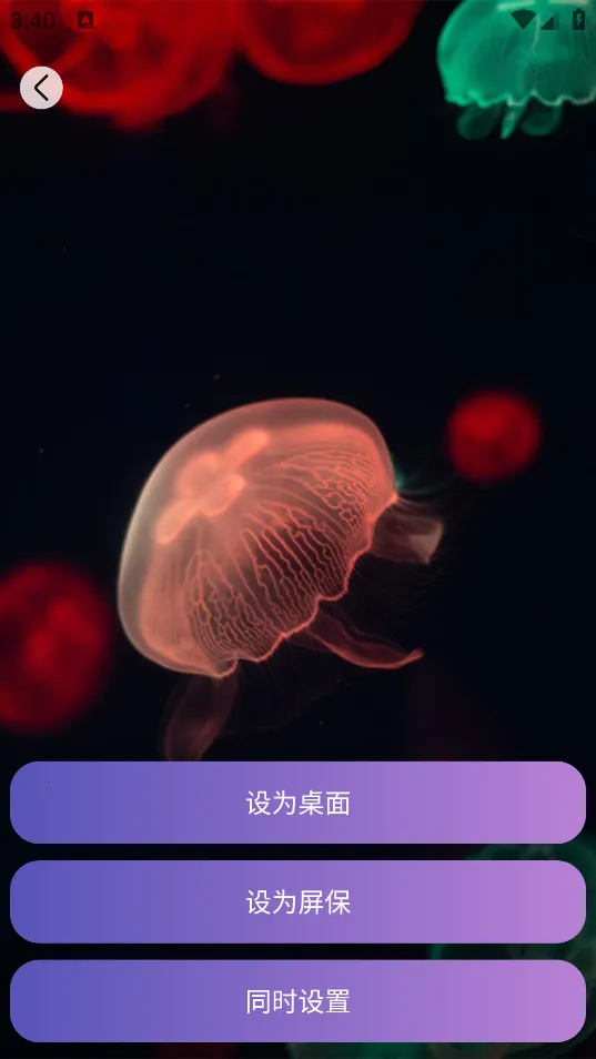 画与未来 画与未来