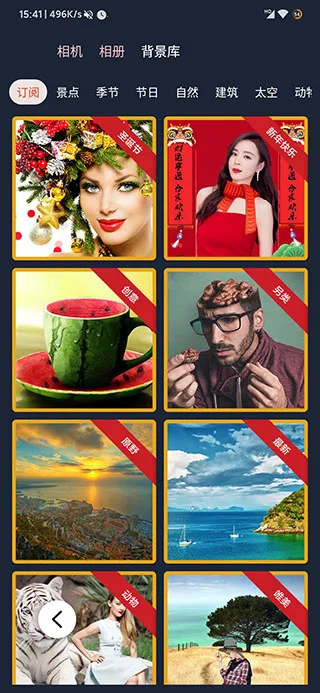 ProKnockout2026���°汾