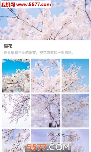 ��ű�ֽv1.0.0 ��Ѱ��ͼ