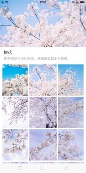 ��ű�ֽv1.0.0 ��Ѱ��ͼ