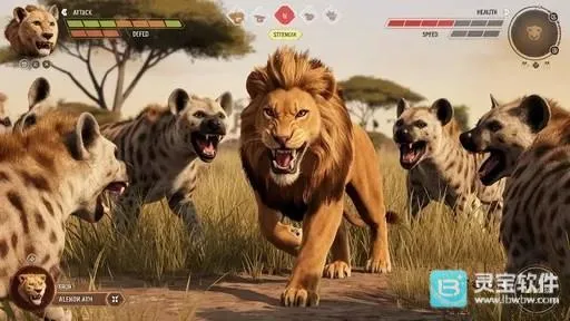狮子狩猎模拟器 狮子狩猎模拟器