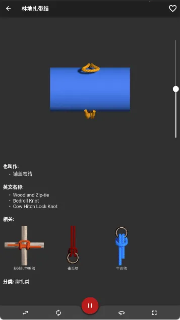 Knots 3Dv8.3.7 �ֻ����ͼ