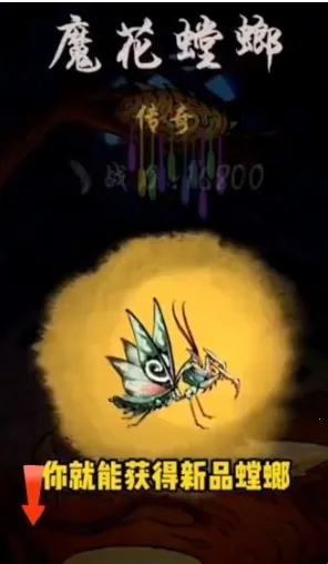 ��Ʒ��밲׿���ֻ���