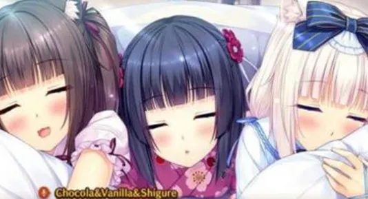 SAYORIv1.0.0.0 �ֻ����ͼ