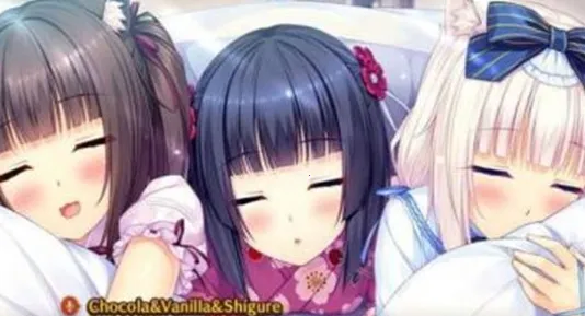 SAYORIv1.0.0.0 �ֻ����ͼ