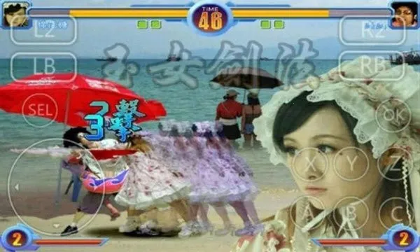 ����������˵����