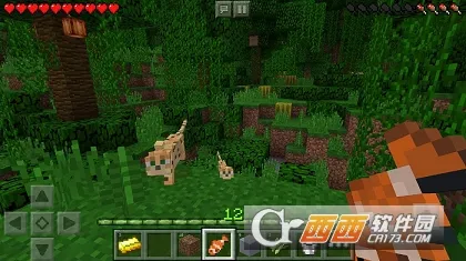 minecraft���ʰ�����v1.26.10.21 ��Ѱ��ͼ