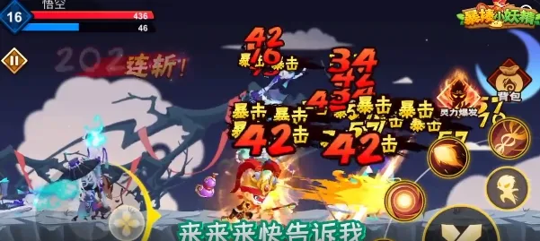 ����С����2026���°汾