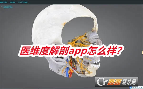 ҽά�Ƚ��������ֻ���