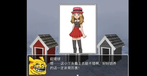 �ڴ�����