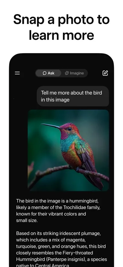 grok�Ƽ�ȫ2026���°汾v1.1.02-release.00 �ֻ����ͼ