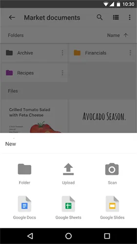 �ȸ�����2026���°汾