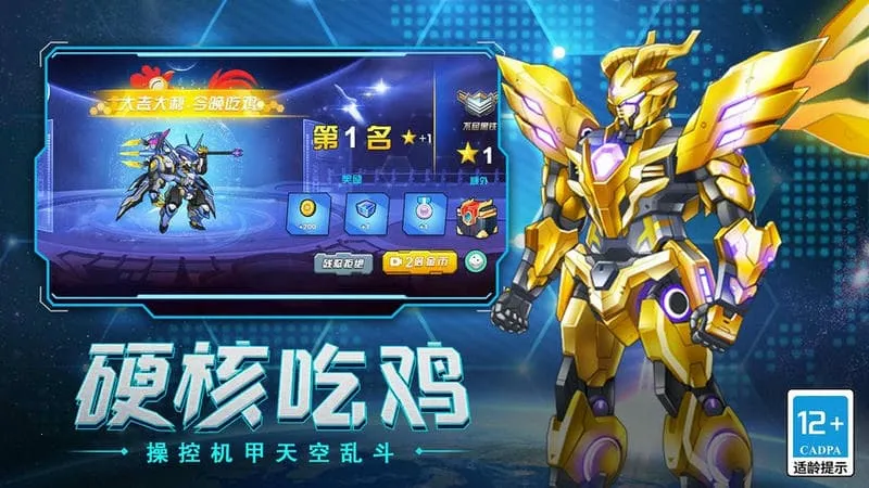 �޵и�������