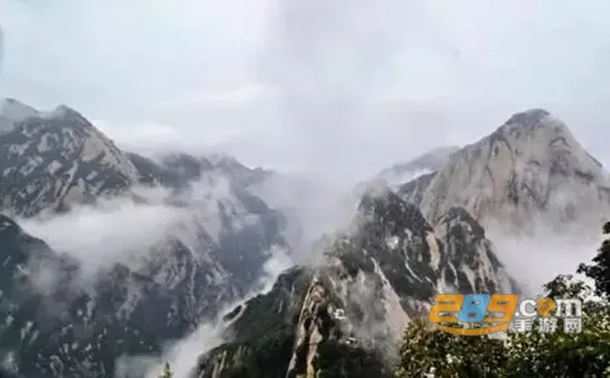 ��Ȼ������׿���ֻ���